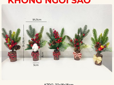 Chậu thông mini để bàn cành đỏ mọng cao 28cm đế gỗ [Nhiều kiểu] CHAUCAYGIA-19